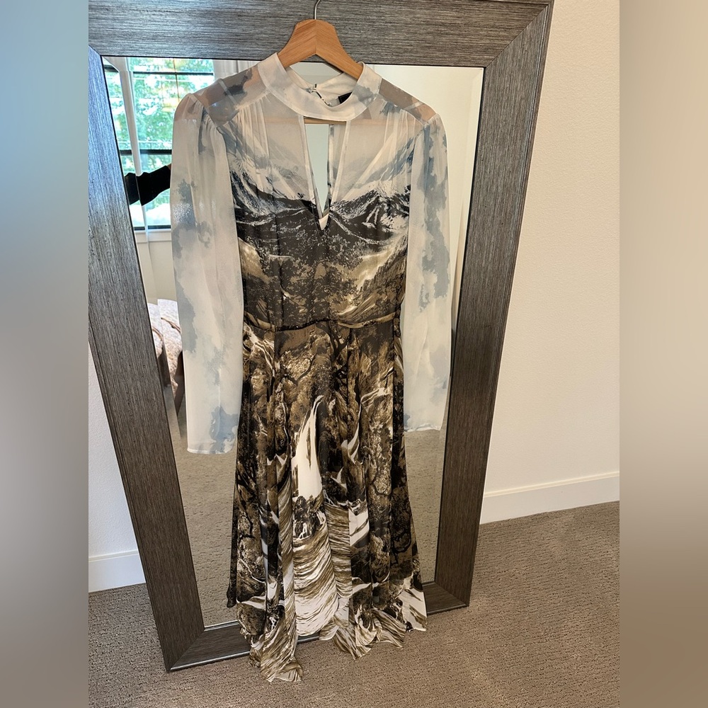 BCBGMaxAzria gorgeous landscape print dress